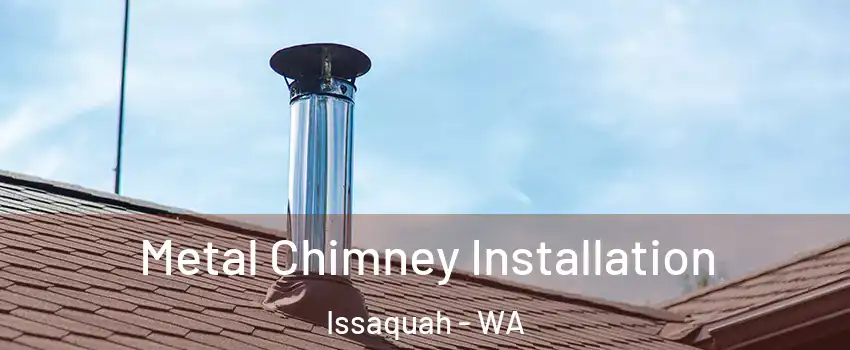  Metal Chimney Installation Issaquah - WA
