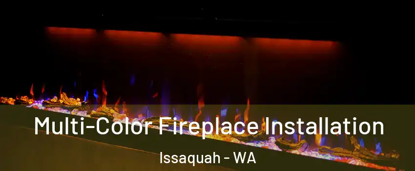 Multi-Color Fireplace Installation Issaquah - WA