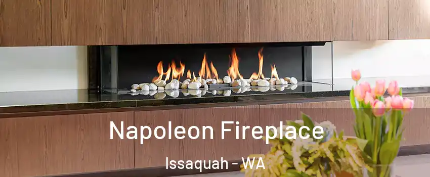  Napoleon Fireplace Issaquah - WA
