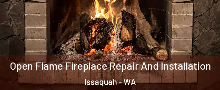  Open Flame Fireplace Repair And Installation Issaquah - WA