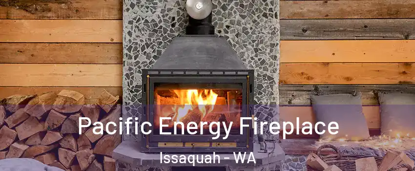  Pacific Energy Fireplace Issaquah - WA