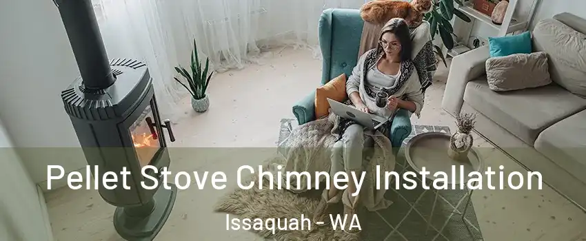  Pellet Stove Chimney Installation Issaquah - WA