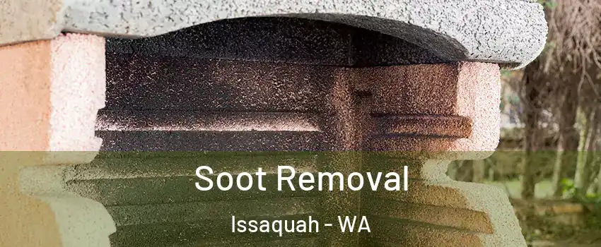  Soot Removal Issaquah - WA