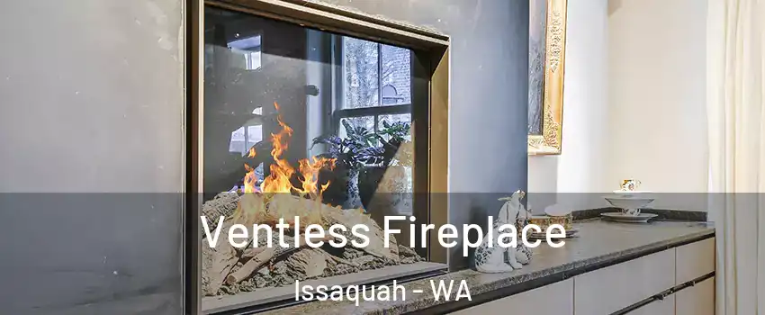  Ventless Fireplace Issaquah - WA