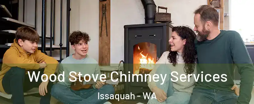  Wood Stove Chimney Services Issaquah - WA