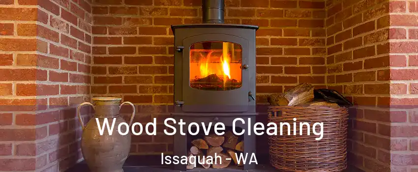  Wood Stove Cleaning Issaquah - WA