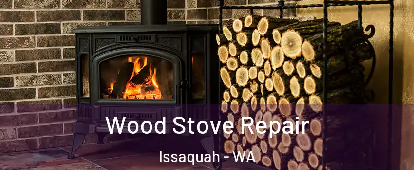  Wood Stove Repair Issaquah - WA